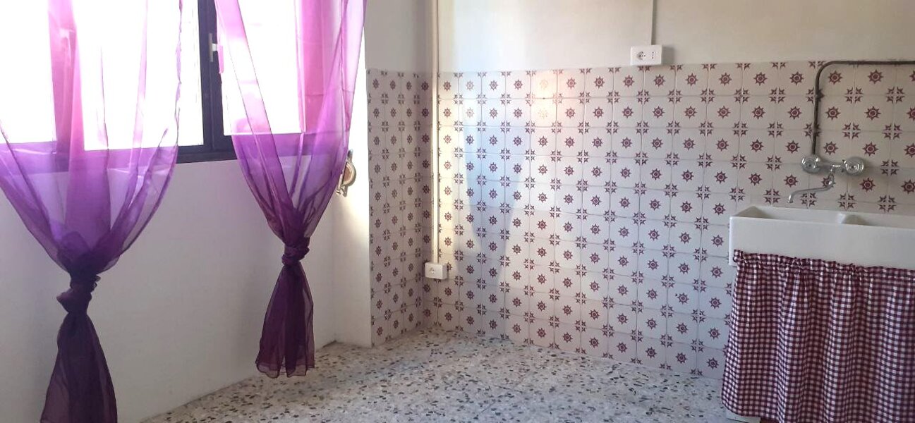 (Foto di propriet� dell'Associazione Alce Viola)