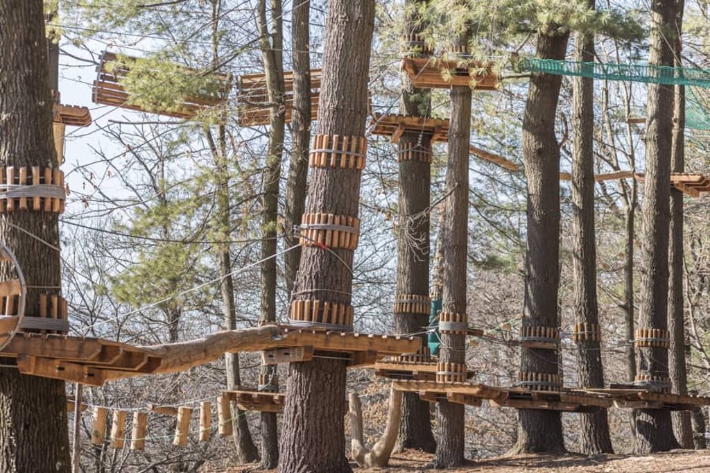 Foto di propriet� dell'Adventure Park Lago d'Orta LE PIGNE