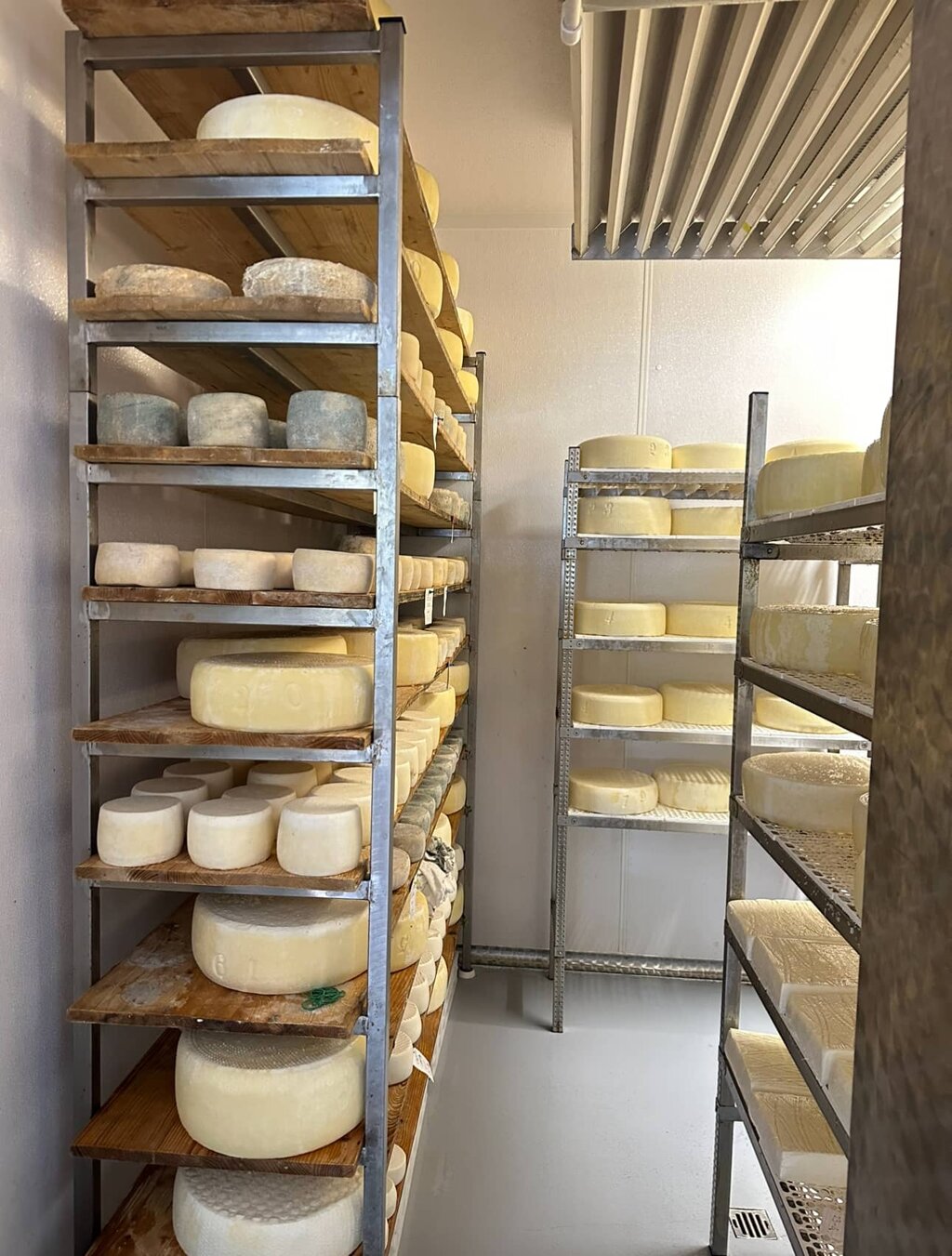 - Foto di propriet� dell'Azienda Agricola #FAICHEESE