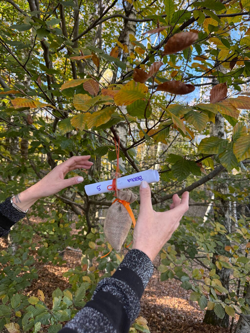 Evento CACCIA AL TESORO aspettando Halloween Evento CACCIA AL TESORO aspettando Halloween