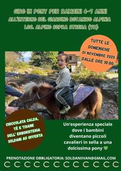 Eventi in programma Novembre 2025 Eventi in programma Novembre 2025