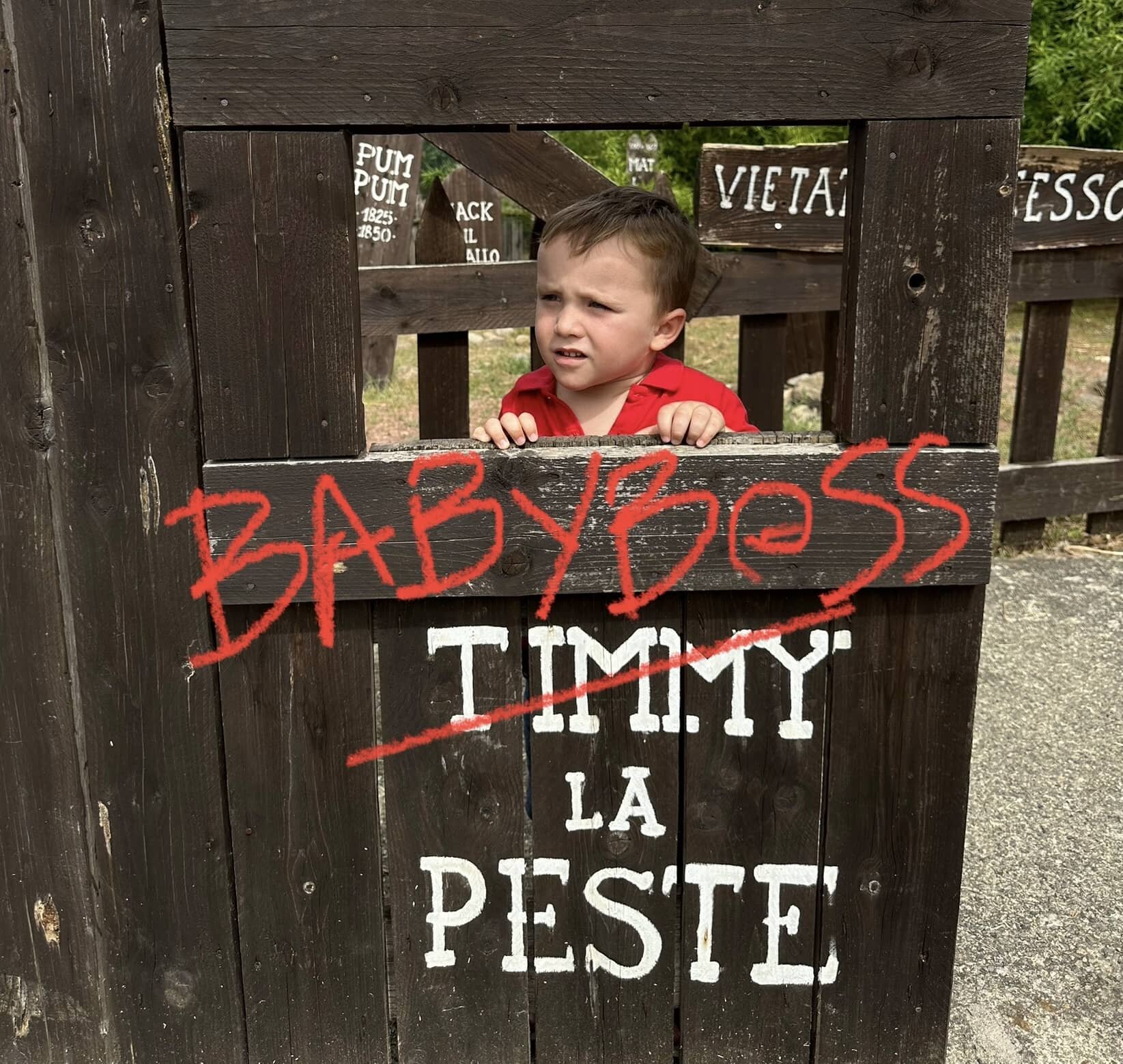 Gita "selvaggia" al Safari Park di Varallo Pombia (provincia di Novara) Gita "selvaggia" al Safari Park di Varallo Pombia (provincia di Novara)