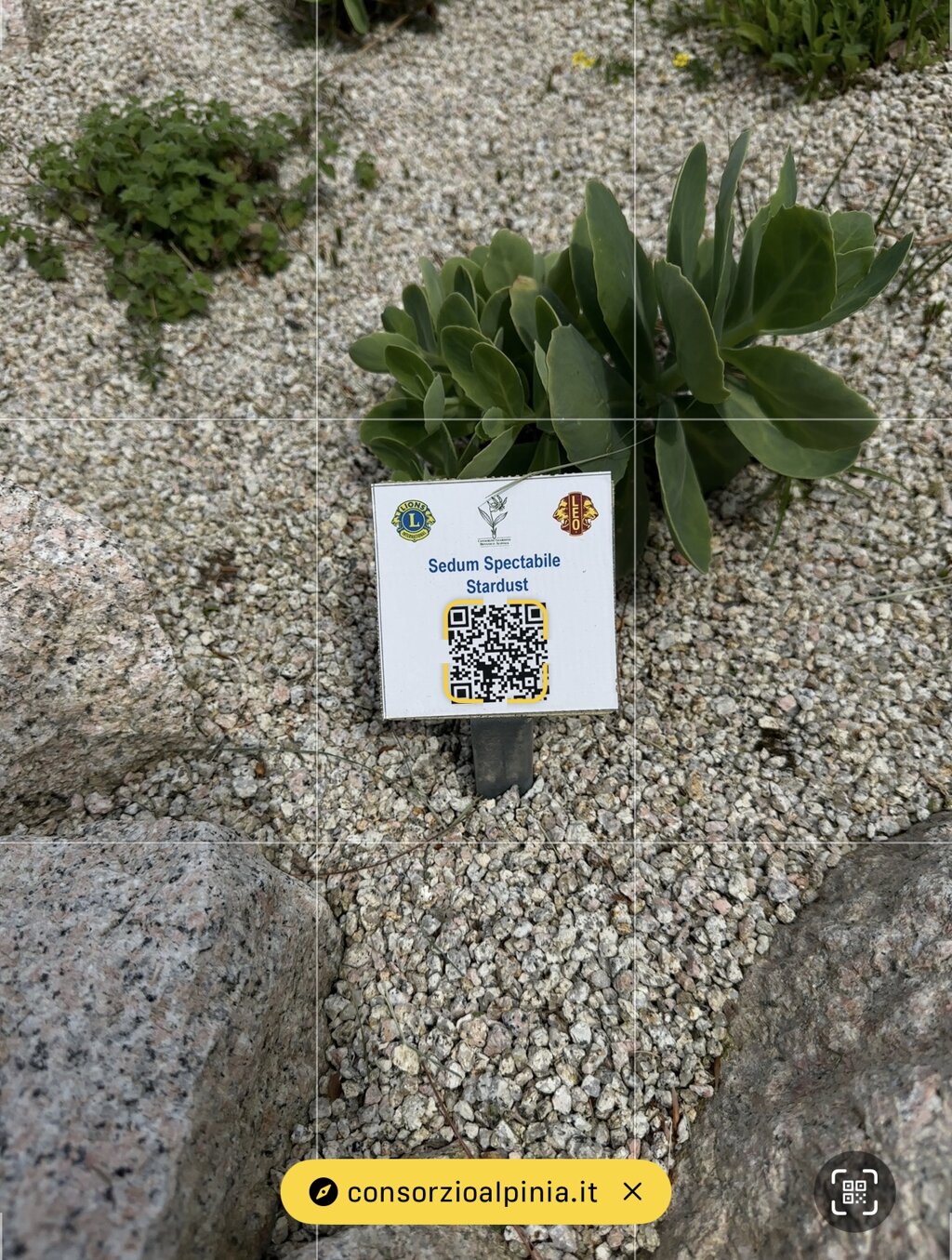 Le targhette da scansionare col qr code Le targhette da scansionare col qr code