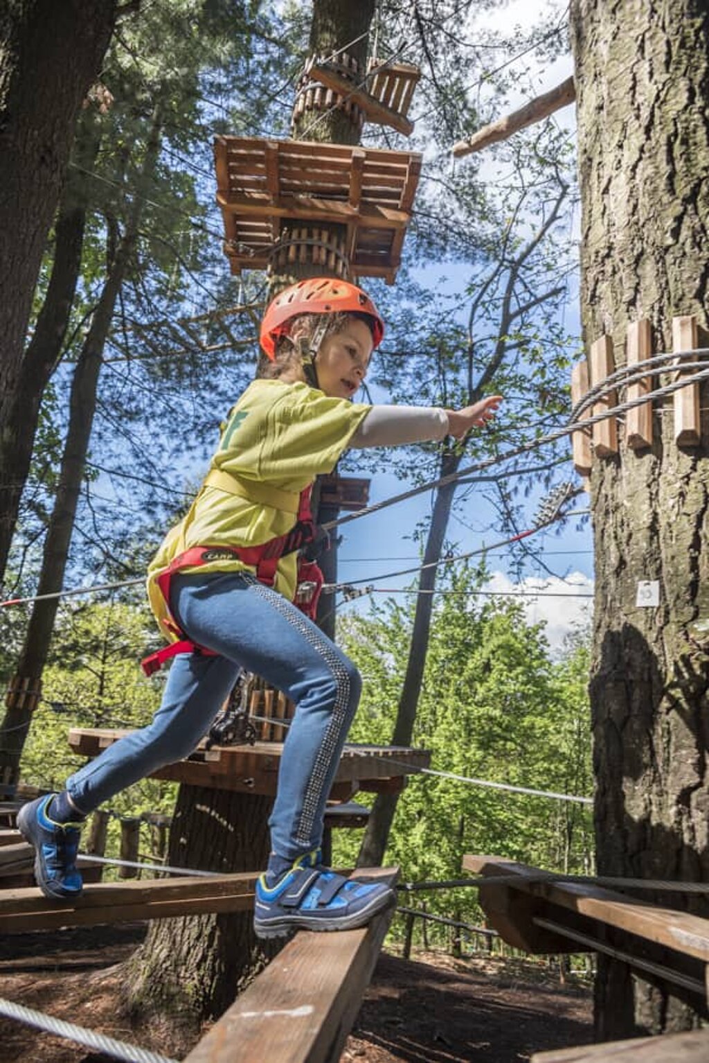 Foto di propriet� dell'Adventure Park Lago d'Orta LE PIGNE