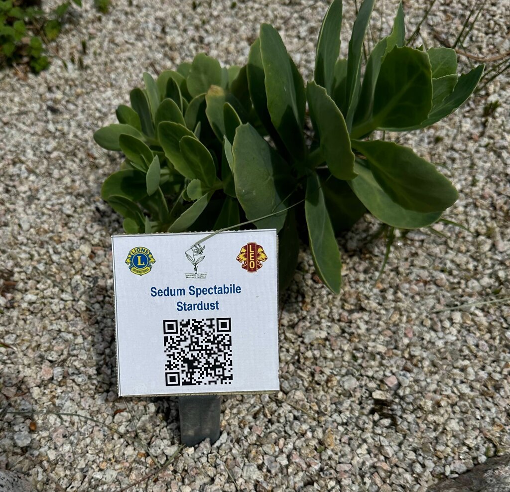 Le targhette con l'indicazione delle piante/fiori Le targhette con l'indicazione delle piante/fiori