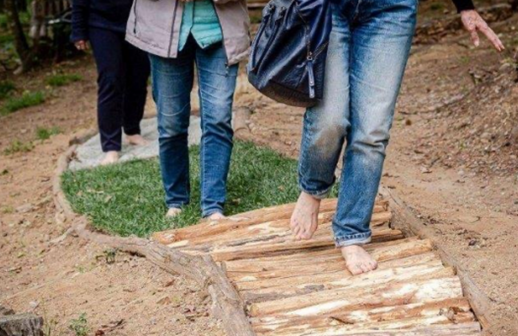 Foto di propriet� dell'Adventure Park Lago d'Orta LE PIGNE