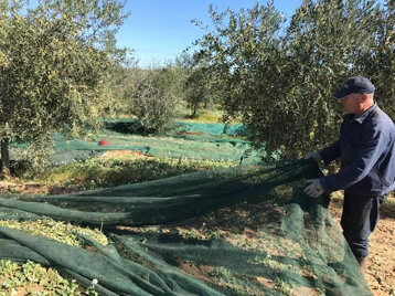 6509973a-b843-439d-98d6-52495d092b16