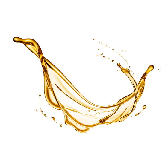 31cc317b-d482-4a03-96c5-9472ee6a922b