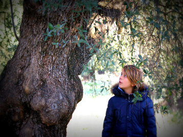 0a215c9d-66be-4c3b-9717-4b8f491f1dbc