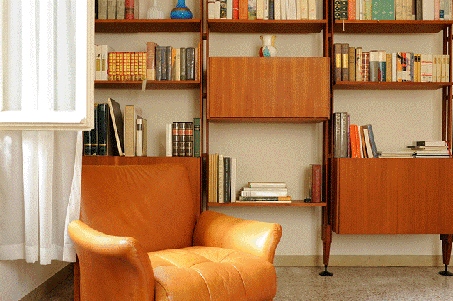 b154b69e-85b2-43c9-b043-3f7f4dc3a5fa