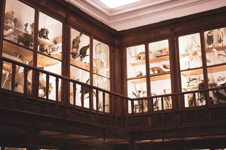 d7eac3cc-d3c0-4ab5-bc0f-3575ce802d37