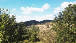 e8d64751-9e44-40a8-b0b0-15b01426d02d