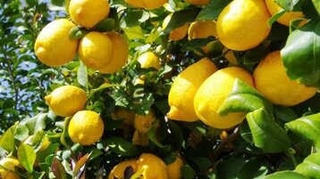 b3443670-0040-4aba-b8af-64b6923d67b9