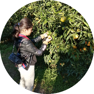 1c7a3d60-7c86-42f1-835c-6c7dbb4f2992