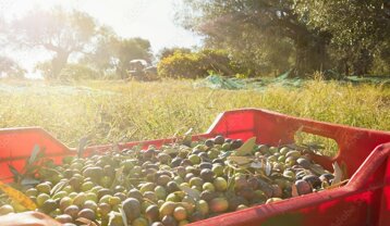 620d8d1e-d2bc-4fe5-ad2d-d510f08b02a1