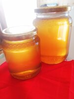 miele-di-clementine-2025