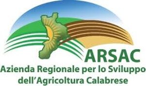arsac calabria.jpeg