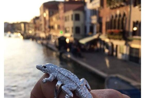 92fec563-4800-49a5-9e4b-2914f7c1fcff 92fec563-4800-49a5-9e4b-2914f7c1fcff