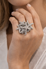 art-029-anelli-5-stelle-marine
