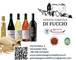 03828baa-22ef-4809-afae-bd3d988e5f56