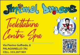 18ab804d-e78f-43ab-a65e-544635fbd57a