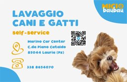 dc3f1e68-b1cc-4a90-a52d-e8a1cd84fb89