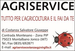 e65eb8ed-a2fa-468c-848b-610b8d8fdcd6