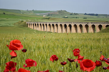 8c225ca7-4a18-4630-848b-de68b70b8743