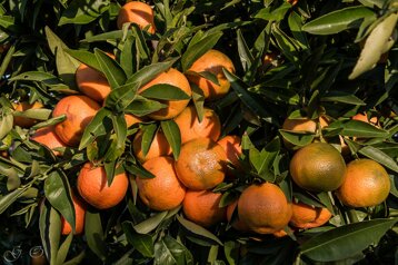 23180839-9cf4-4578-9725-06d8c54d13ee