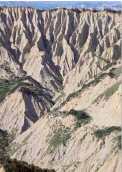 a67ed555-70cd-4fa6-b143-1784bf47331f