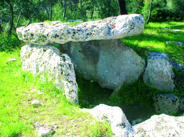 a6439707-5ca9-403c-8c21-04ea00e783f4