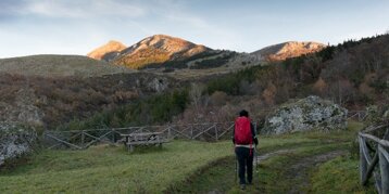 7133d1af-a013-4bff-bd85-a38d18dba829