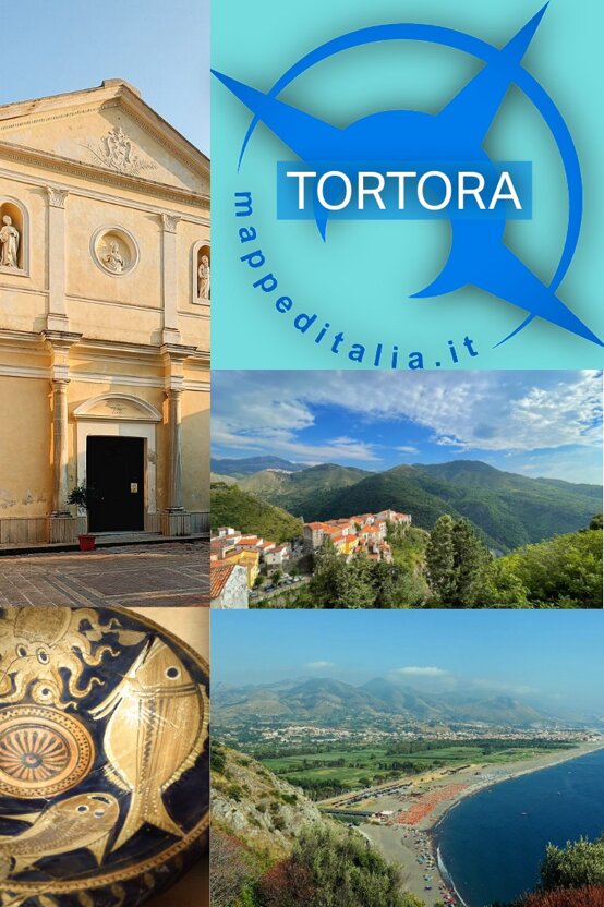 tortora copertinax.jpeg