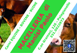 edc0bfff-bdb0-4211-9642-c839b50201cf