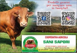 07c165b2-ac0c-4bb0-a290-9972b50fc5a3