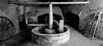 0c2a31d9-74d8-422d-b994-8209a38909e0