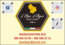 7e8a074a-3885-4872-9da3-796d64929a9a