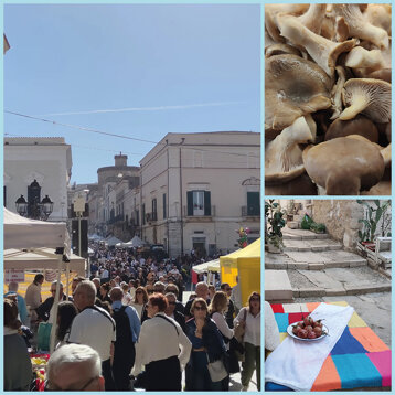 99c28231-0a60-4f52-a901-2d735c6d54b3