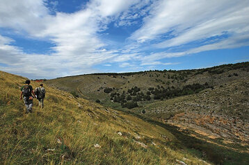 1ec5ae3f-6f7d-4bbb-a79d-ed70fe11c464