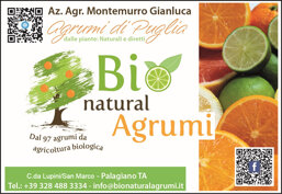 bb6db2ea-2be5-4685-92d0-722f65fc8827