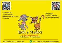 8745a2f5-e818-494e-8b19-8f98a782f040