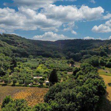 f3d11a2f-a4cc-4ec9-871f-57a8e322a0a7