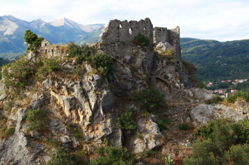 deaab476-2009-4269-87e9-e19341f6fc72