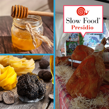 3baa4933-19ed-4aa9-ab84-8f373d973e8d