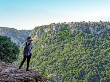 b5145cc2-3dc6-4364-8106-1057fe9bf859