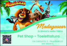 8e00457e-5cd4-4987-aa99-2a724bf59330