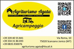 e45e2d51-1bd7-4fa2-88b8-20fc2b45aa1d