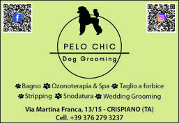 pelo chich bozza mappa.jpeg