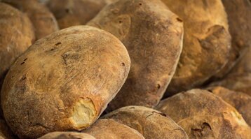 a48f4926-c178-495c-bcfc-60cfc24266d6