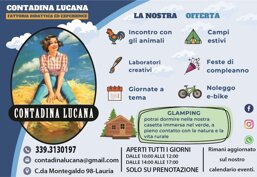 b1a0435d-d1de-4c9f-b716-b7398529e387